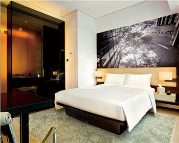 四川板式酒店公寓家具SIMLO109